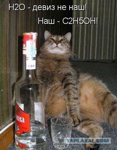 Картинки о животных