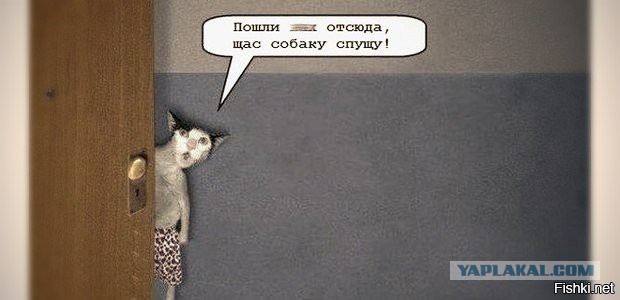 Госдума планирует ввести налог на домашних животных
