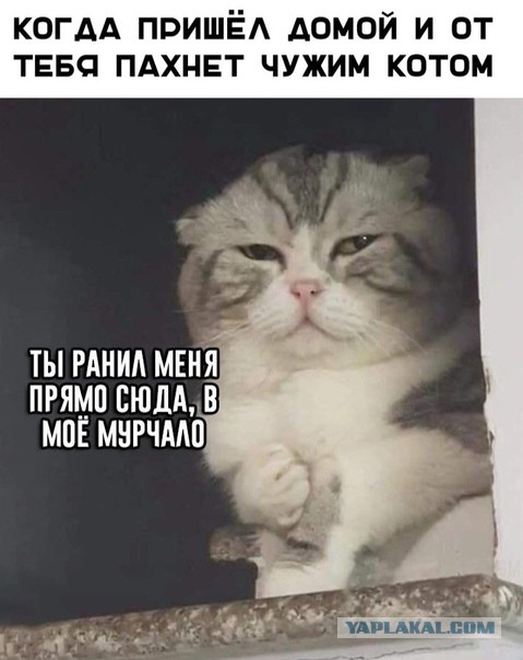 Чёрненький юмор