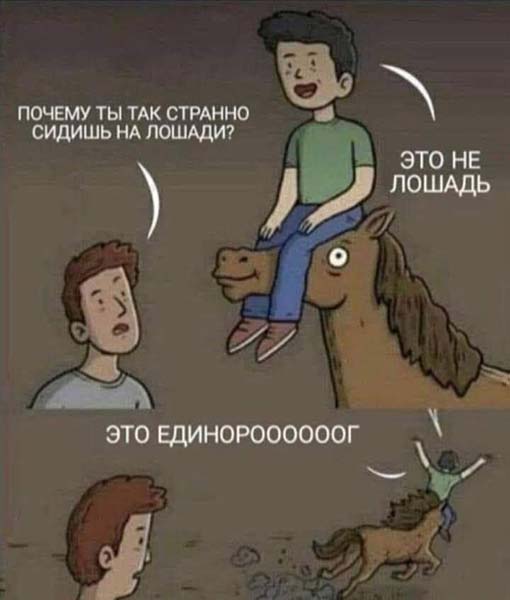 Картинки с надписями и анекдоты