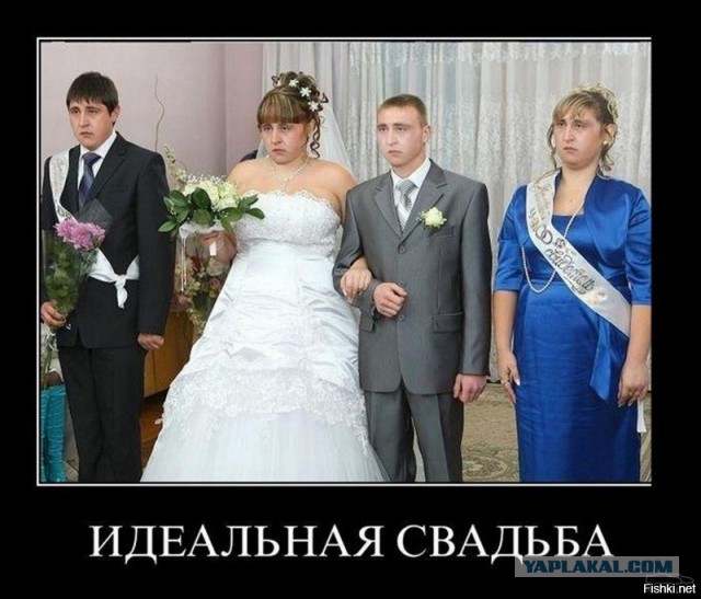 Свадьбы веселые, безжалостные и беcпощадные