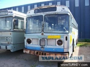 Игра на ЯПе: Угадай АВТО-5