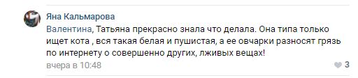 Помогите вернуть кота! Приют "Преданное сердце" украл кота и не отдает!