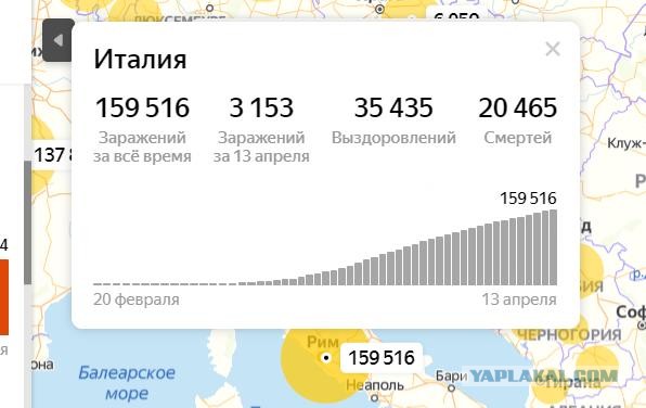 Карантин и дистанция соблюдены