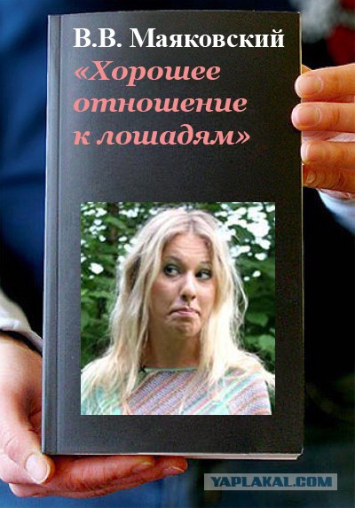 Фотожаба: Книги!