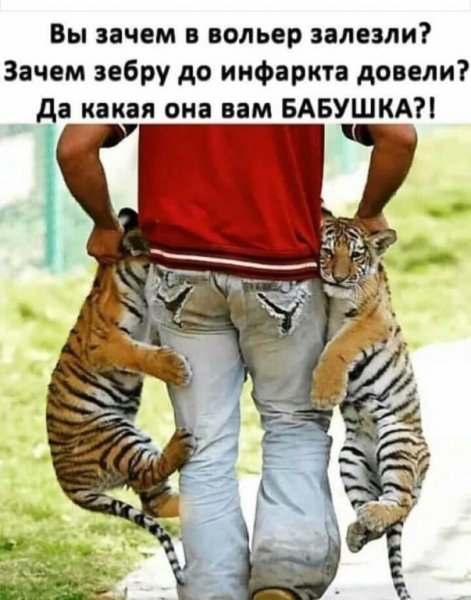 Немного картинок для настроения 01.06.20