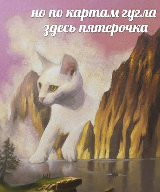 Не очень адекватный юмор