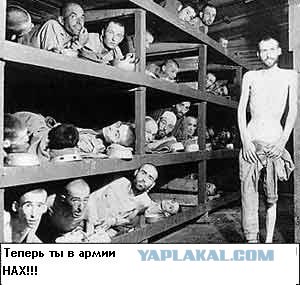 Простое человеческое счастье в картинках