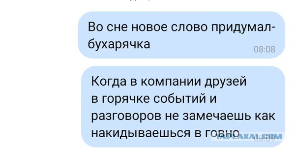 Забавные шутки, картинки и фразы из этих ваших интернетов
