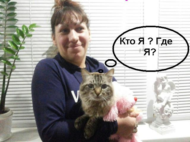 Это вам не инстаграмм (ноябрь)