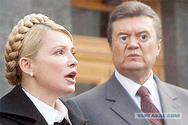 Девушки с глазами Стива Бушеми