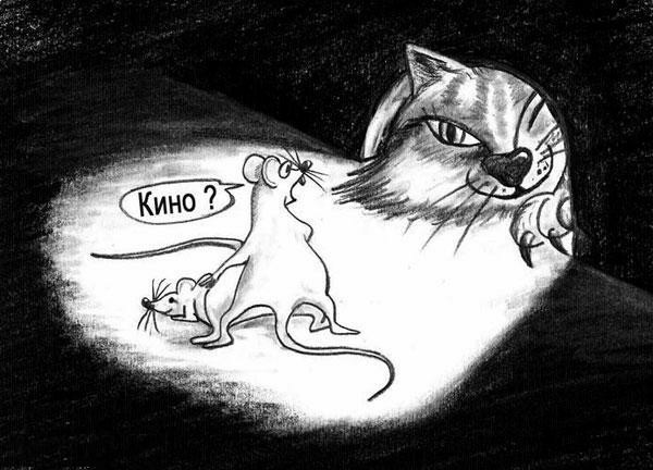 С котопятницей! Улыбнемся?
