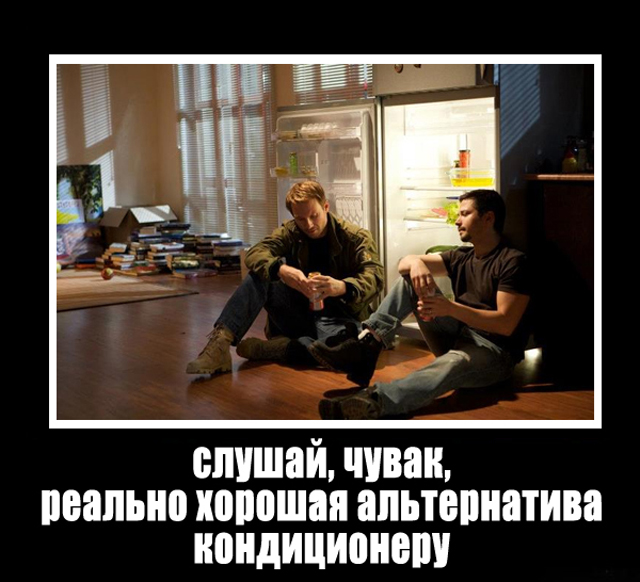 Отжабили «Солдатов удачи»