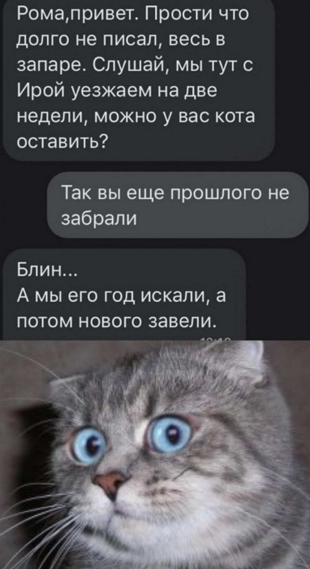 Фотосалат и картинки