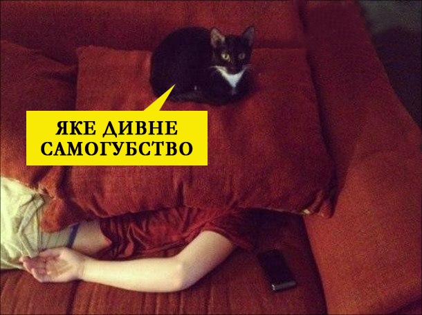 Картинки и мемы для настроения 003