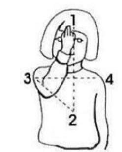 Кого только не... любят. Не для слабонервных