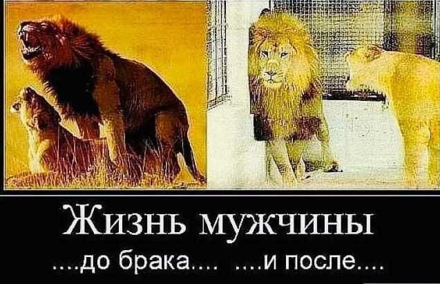 Какие права даёт мужчине официальный брак в сегодняшних условиях?