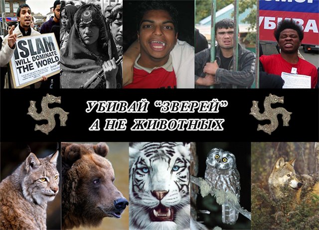 В защиту прав животных