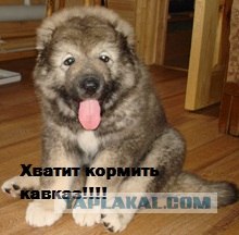 Хамство кавказцев на дороге