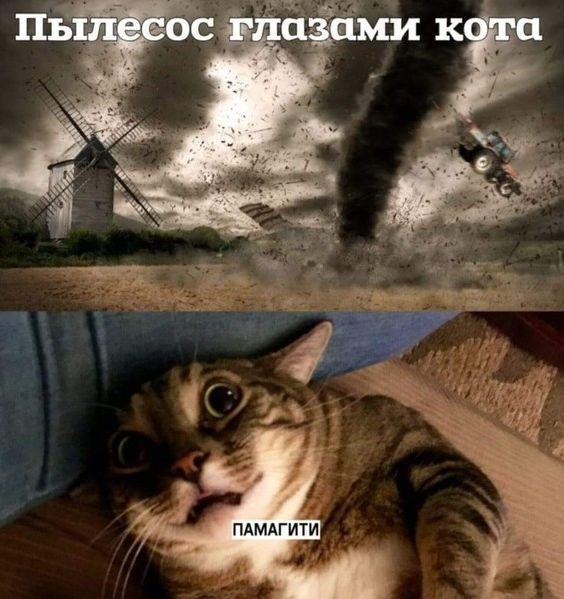 Картинки и мемы для настроения 14.04.2021