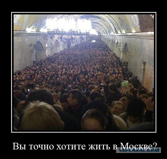 Коллапс на МКАД