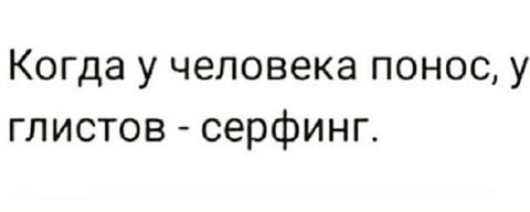 Весёлый полтишок 29.07