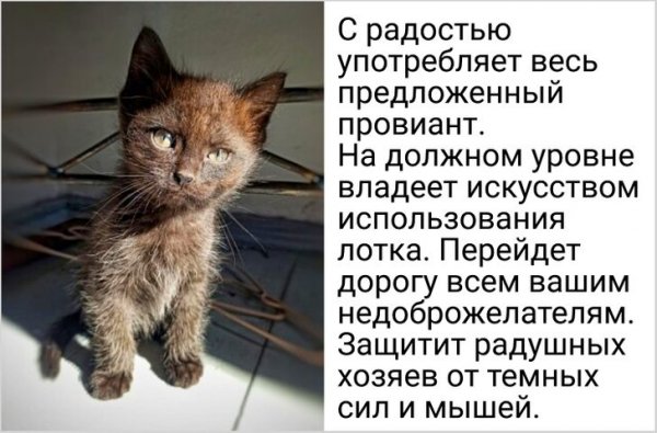 Так себе картинки 09.11.21