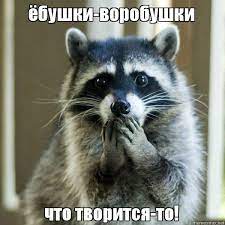 Так себе картинки 10.05.22