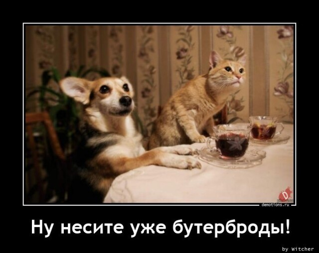 Картинки
