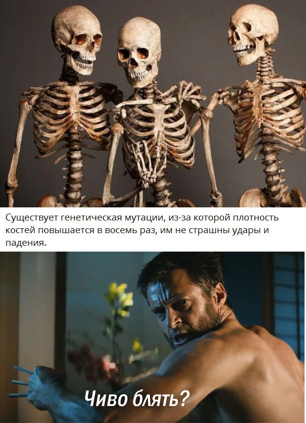 Настоящий экстрим