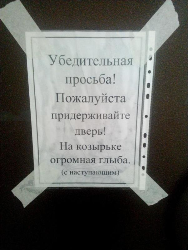 Перлы - 24.12.22