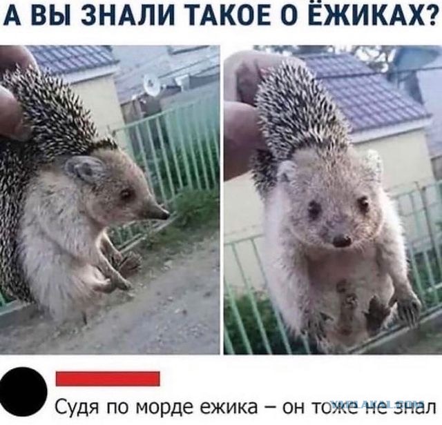 Картинки с надписями 28.01.23