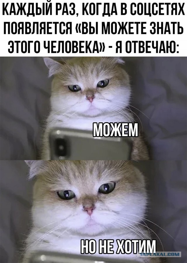 25 картинок для настроения