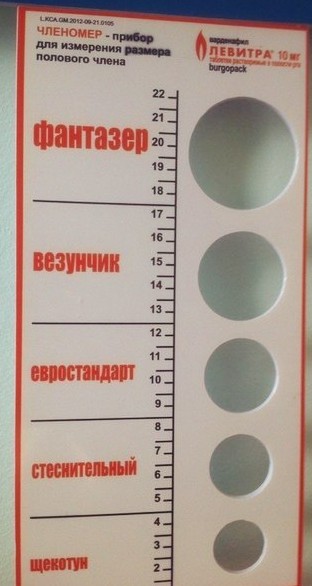 Головоломка для кота