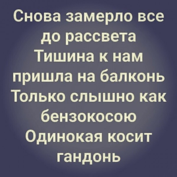 Так себе картинки 30.06.23