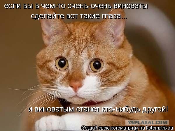 Залил стяжку пола