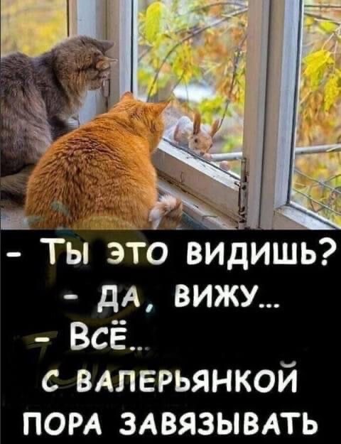 Отряд быстрого деградирования