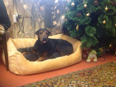 Няшность и ...