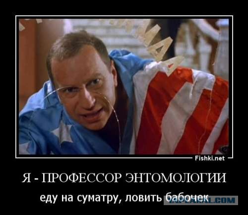 В Лос-Анджелесе приземлился самолет с мужчиной, который представился российским экономистом, потерявшим память