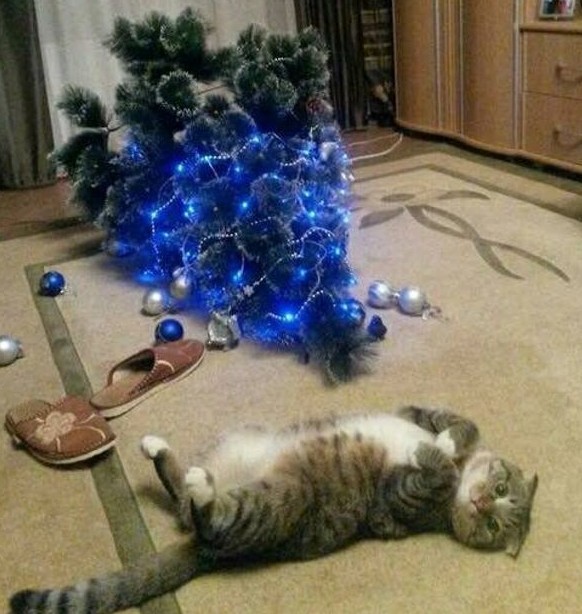 Новогодний кот