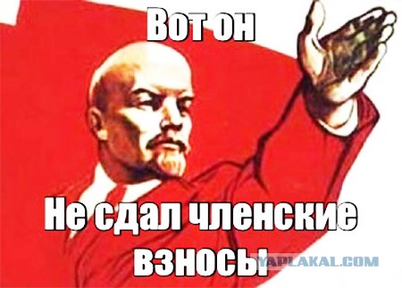 Москва рада росту исламского населения, заявил Путин