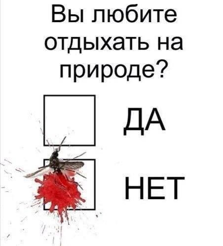 Всего понемногу. От 01.07.2024