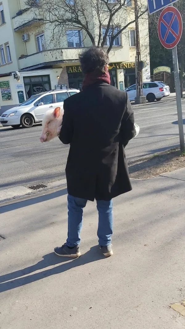 ФотоВинегрет