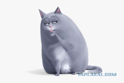 Котофей успокоил ребёнка