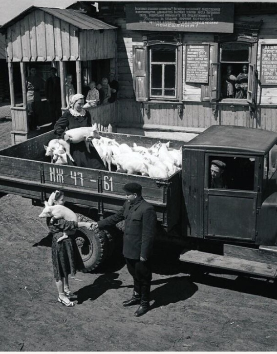 ​ Фотографии из прошлого нашей страны – 86