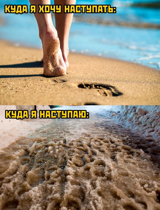 Весёлый полтишок 03.01.25