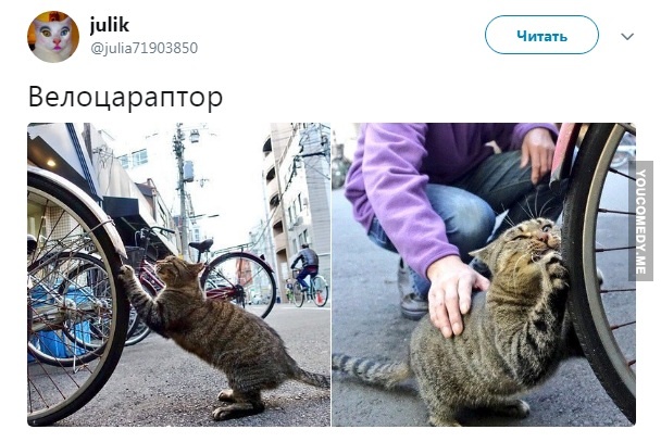 Велоцараптор