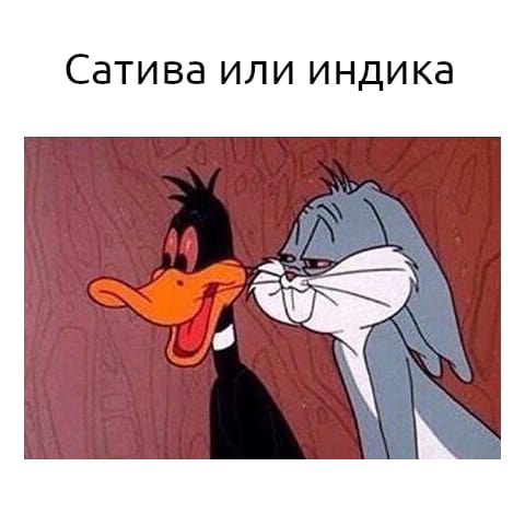 Большая подборка баянов разной степени свежести
