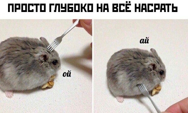 Когда ничего нельзя...