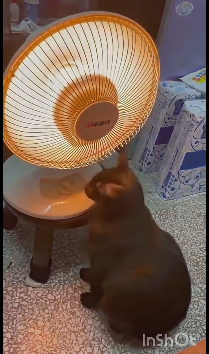 Идите нафиг с этой вашей зимой